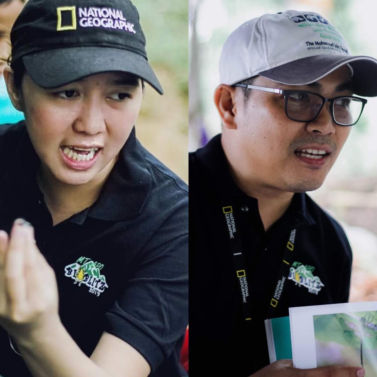 New beetle species named after UM researchers