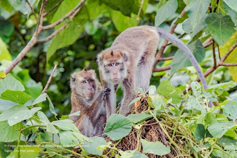 UM and Tagum LGU partner in CNC 2022