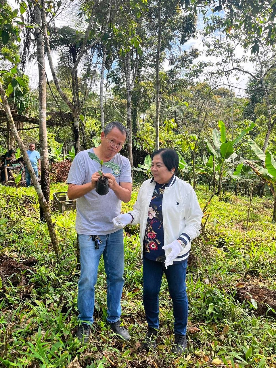 Growing Coffee, Preserving Culture: UM and Bagobo Tagabawa Tribe Unite for Sustainability - Image 3