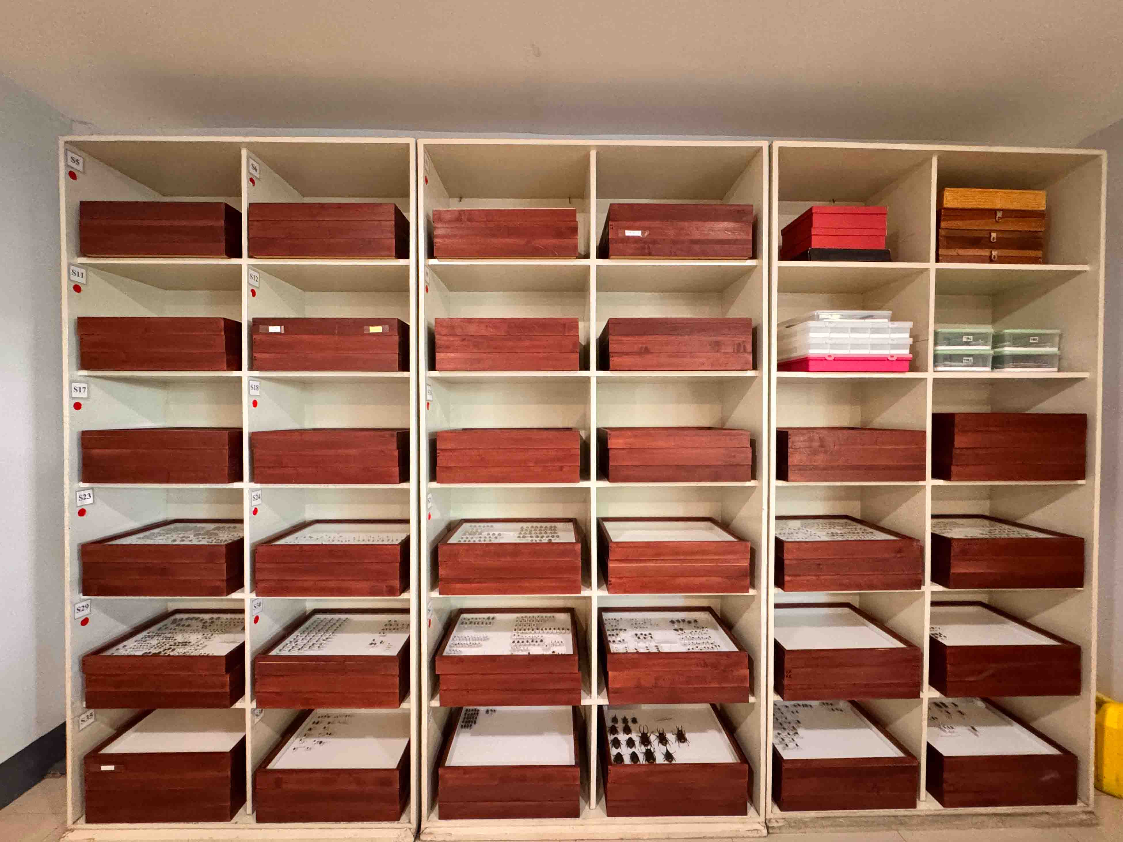 Coleoptera Research Center